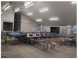 yumurta-toplama-masasi