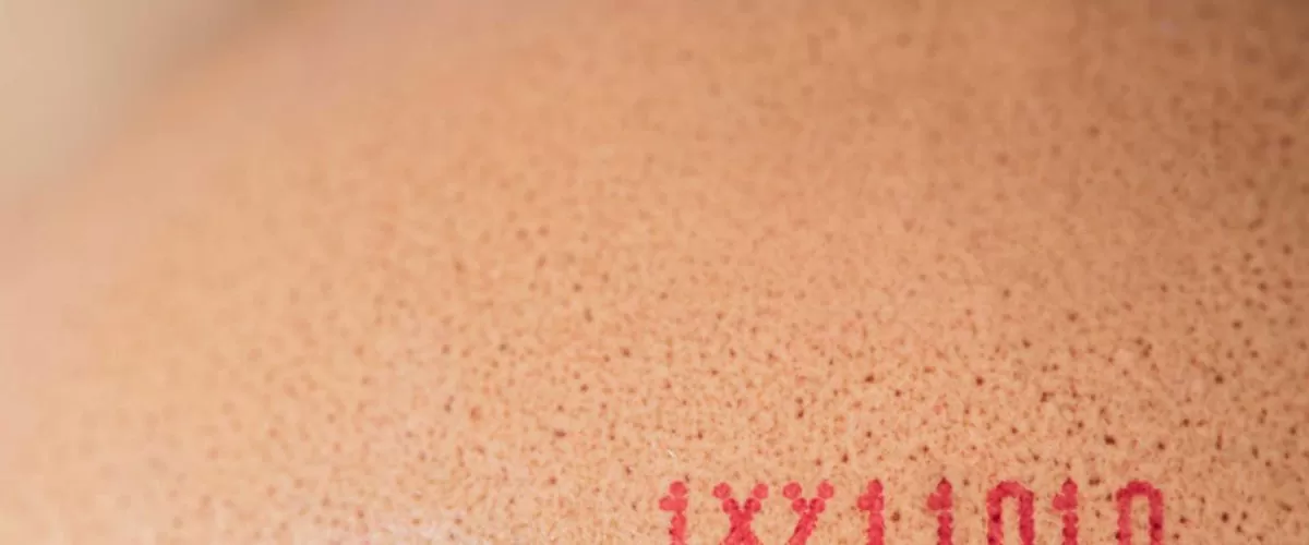 BG MAKİNA in Egg Coding: Quality Monitoring and Tracking System