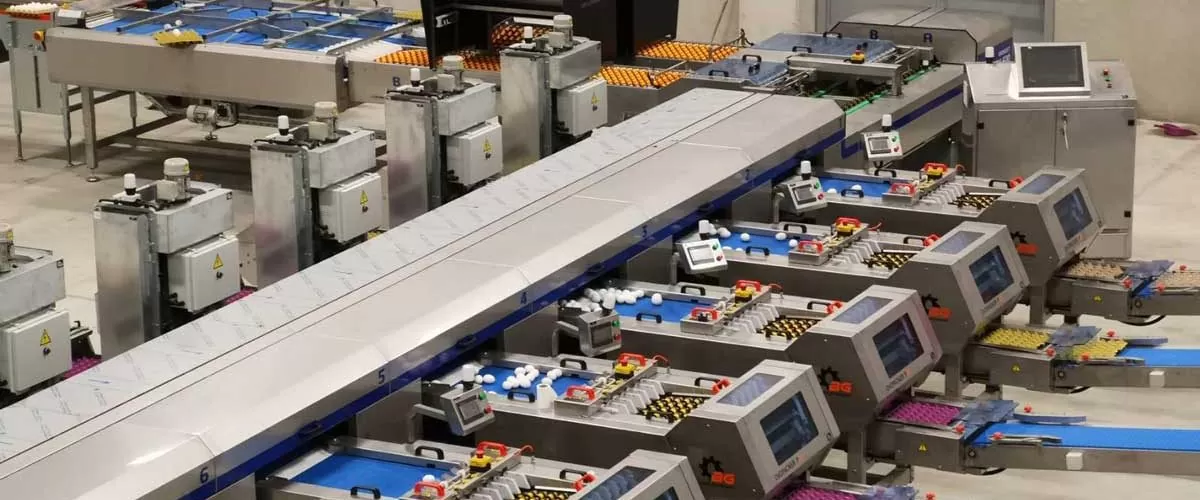 Domestic Production Machines Facilitating Egg Producers