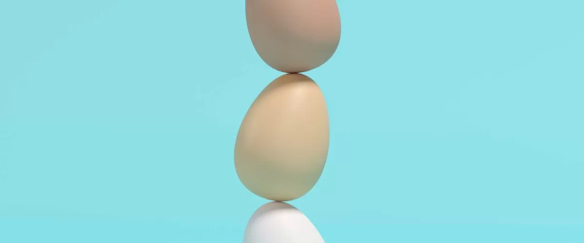 Innovative Technology in the Egg Industry: The BG MAKİNA Way